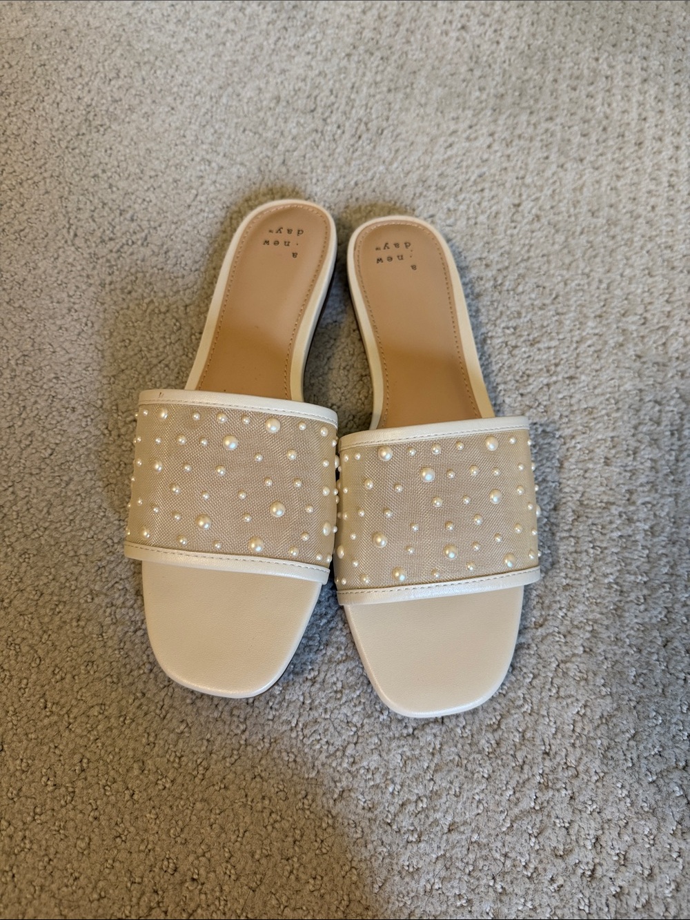A New Day Elaine Pearl Slides